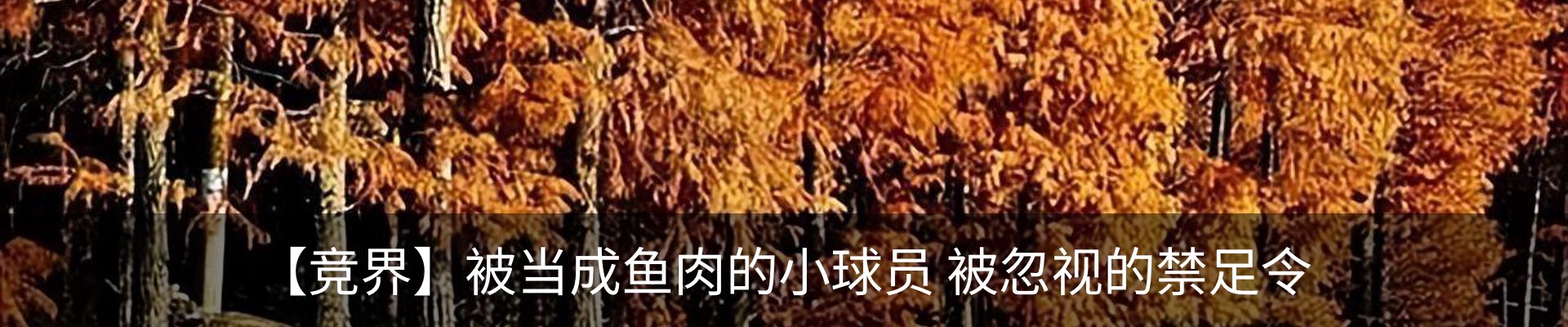 新闻中心