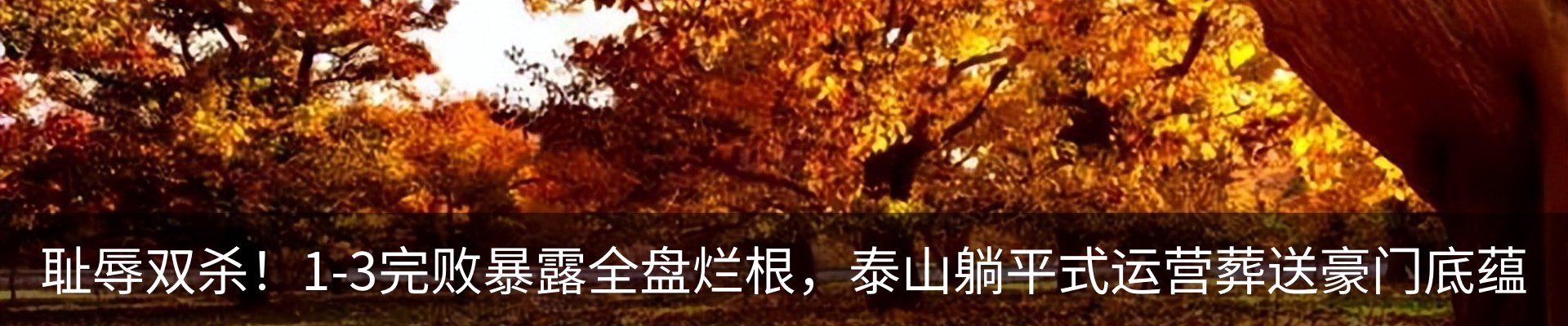 新闻中心
