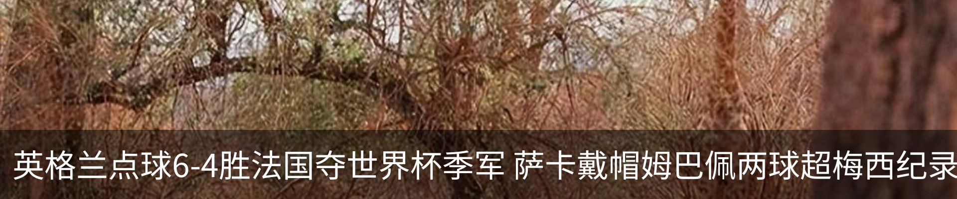 新闻中心