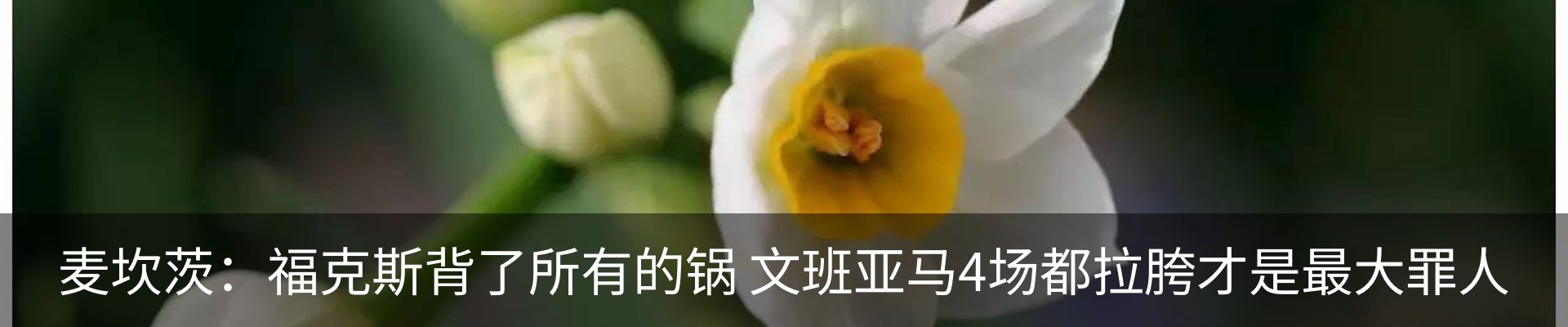 新闻中心